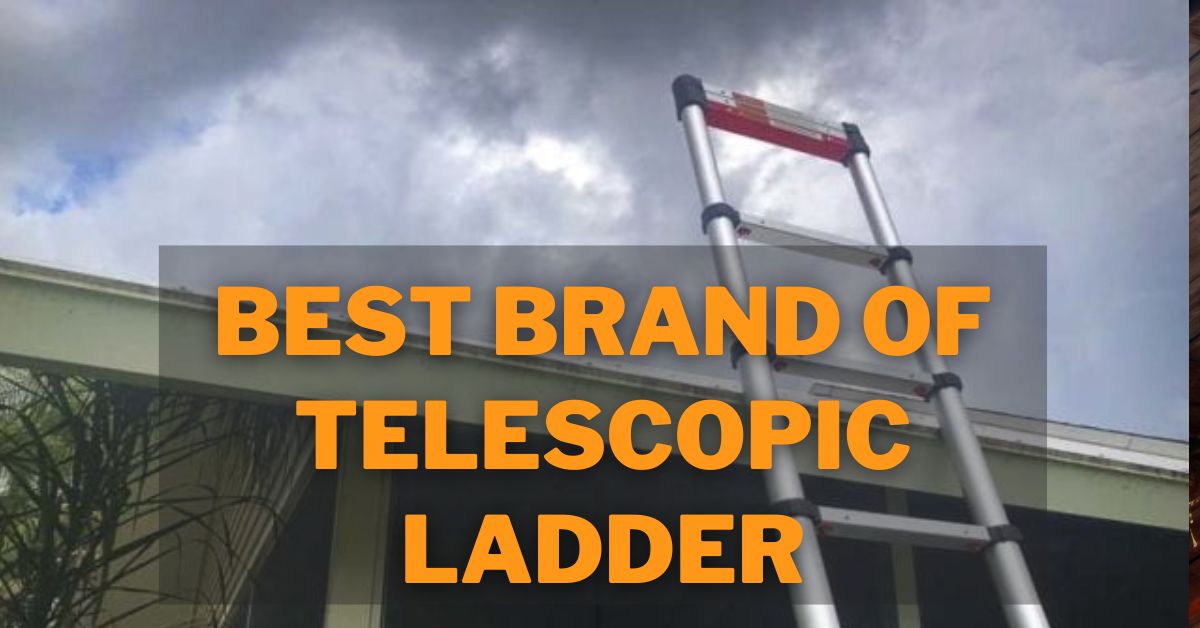 Featured Image: Best Brand Of Telescopic Ladder